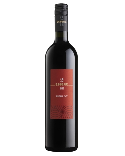 6 bottiglie Merlot IGT