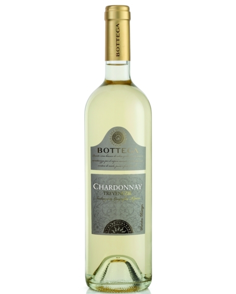 Chardonnay IGT Trevenezie Bottega