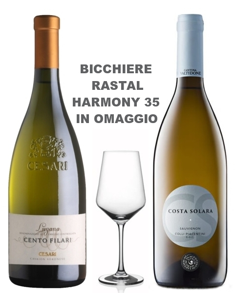 2 bottiglie Sauvignon Doc e Lugana Doc  oma